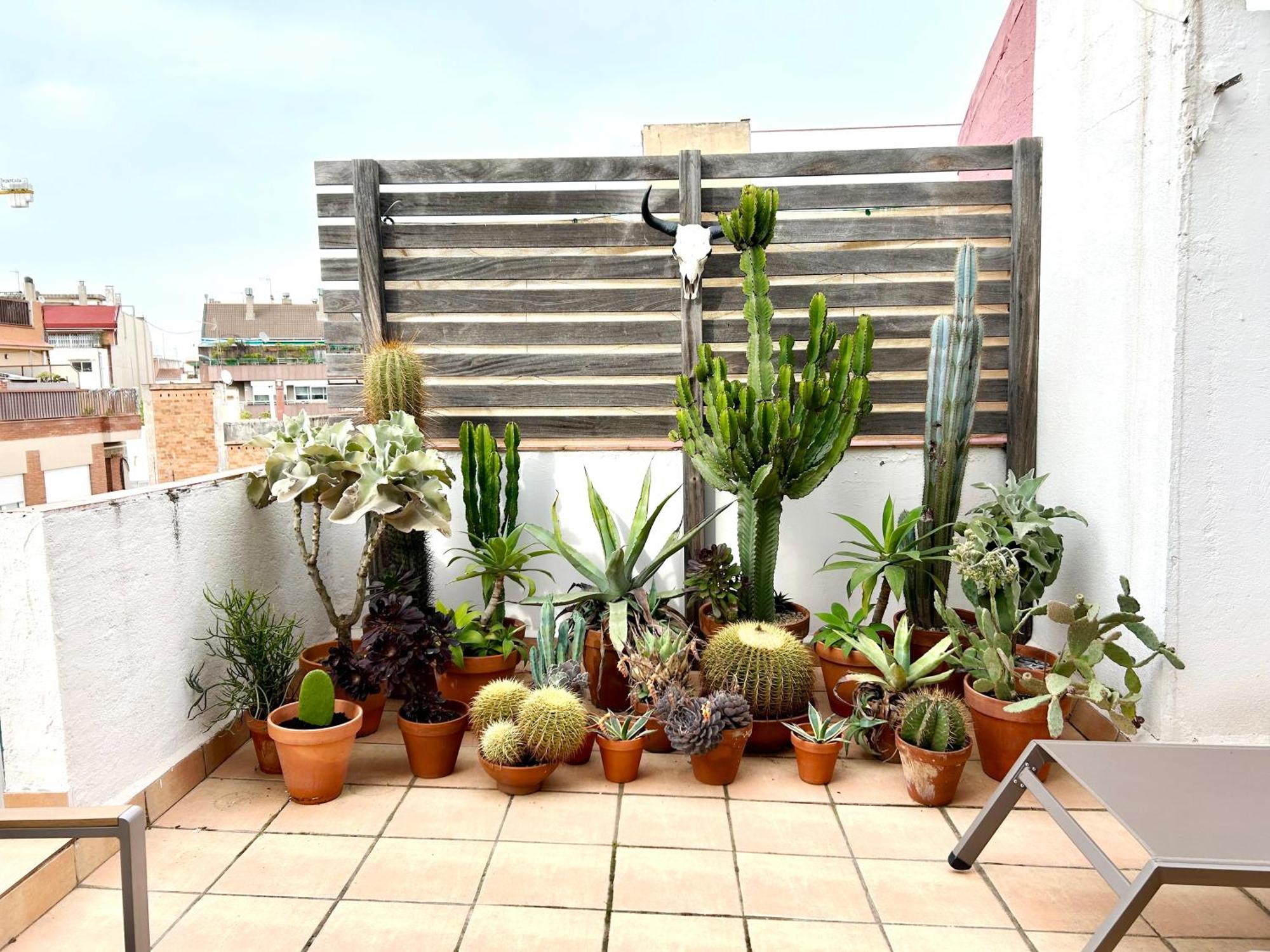 Atic Trobador Apartment